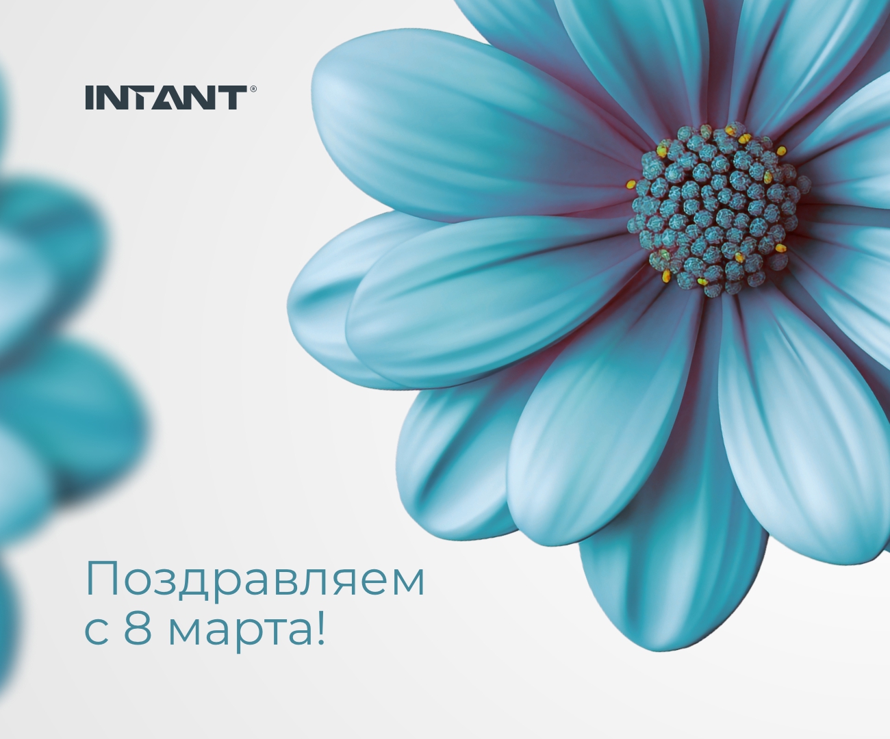 Компания INTANT поздравляет Вас с 8 марта! <