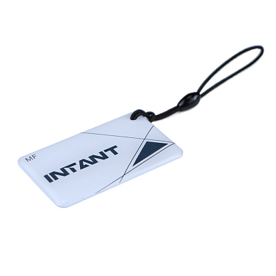 картинка TD-KEYFOB012-MF RFID-брелок из эпоксидной смолы, водонепроницаемый (INTANT / темный) Mifare от компании Intant